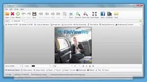 Fileviewpro Gratis