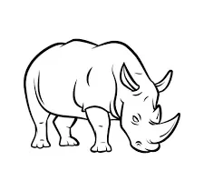 Rhinoceros